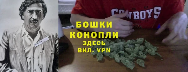 эйфоретик Богородск