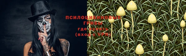 таблы Богданович