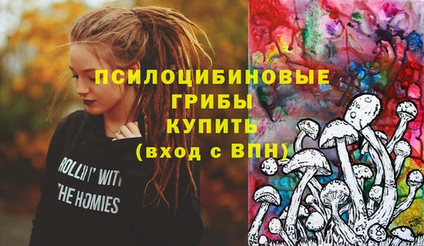 эйфоретик Богородск
